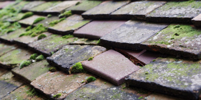 Rhosaman roof repair costs
